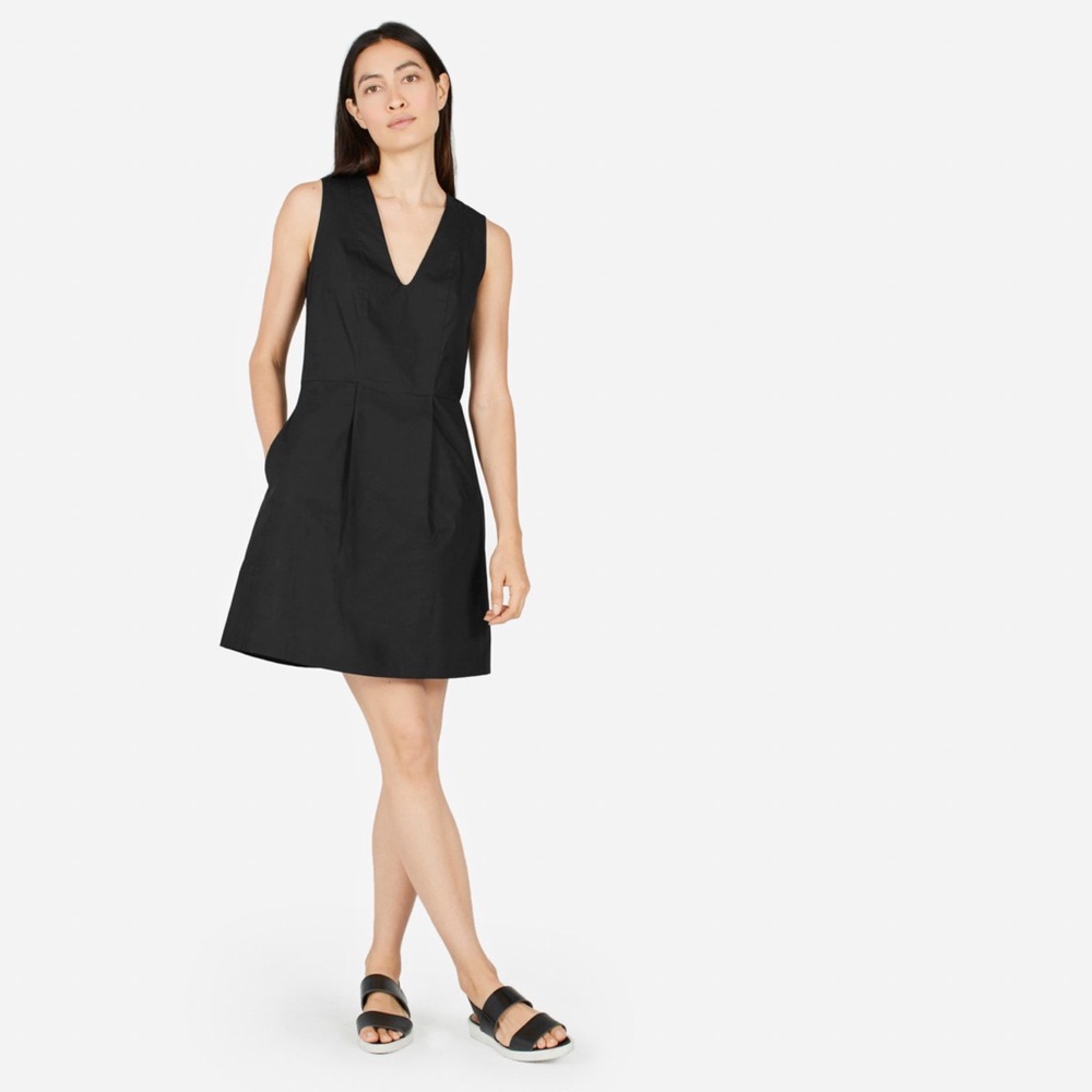 Everlane sleeveless v-neck flare dress